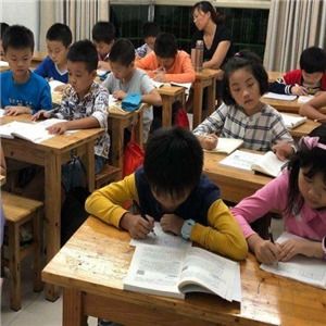 诚众教育信息咨询 揭秘其不可忽视的加盟优势